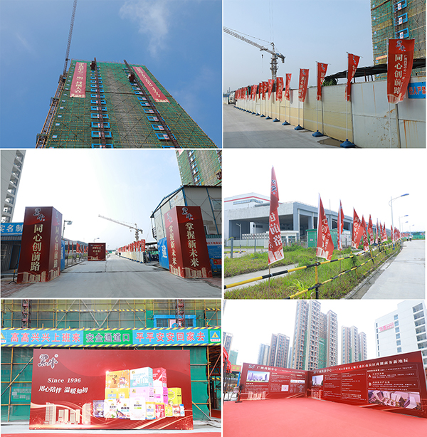 体育平台app下载