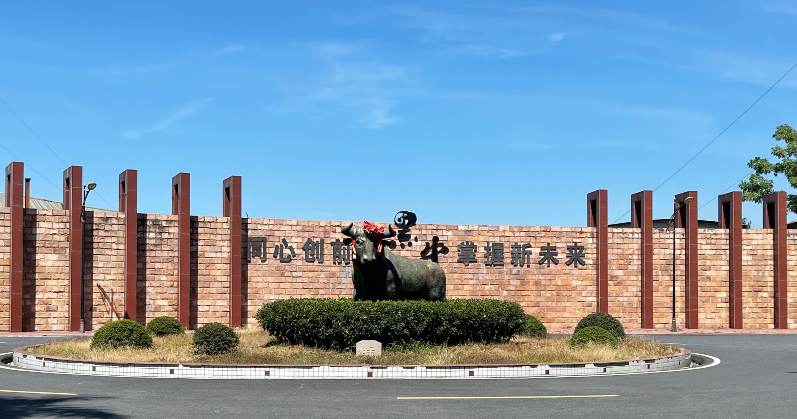 体育平台app下载