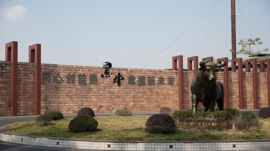 体育平台app下载