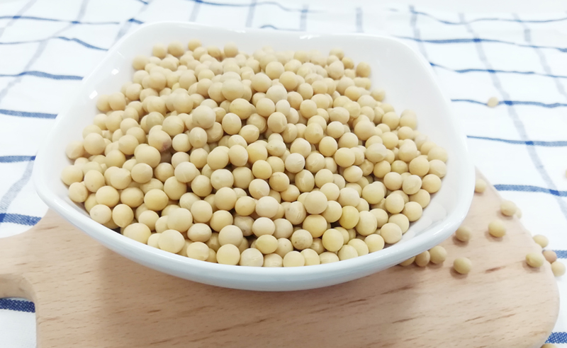 体育平台app下载