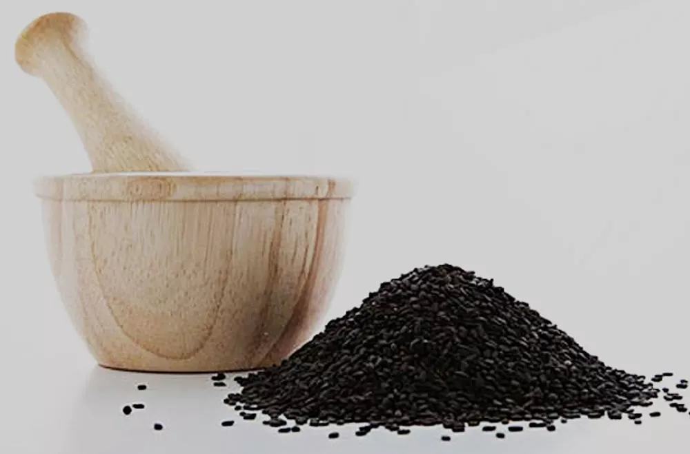 体育平台app下载