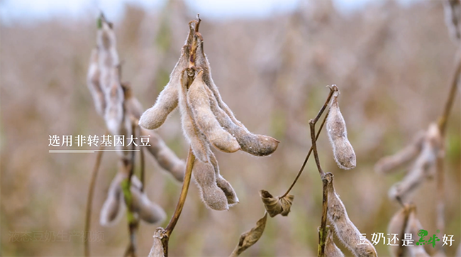 体育平台app下载