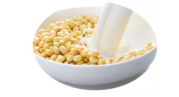 体育平台app下载