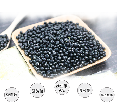 体育平台app下载