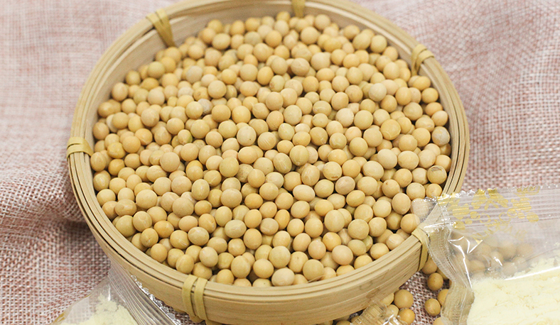 体育平台app下载