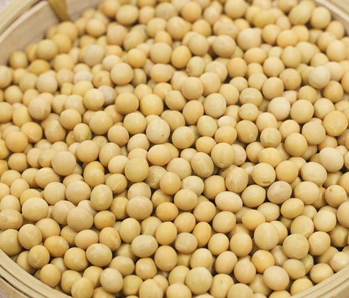 体育平台app下载