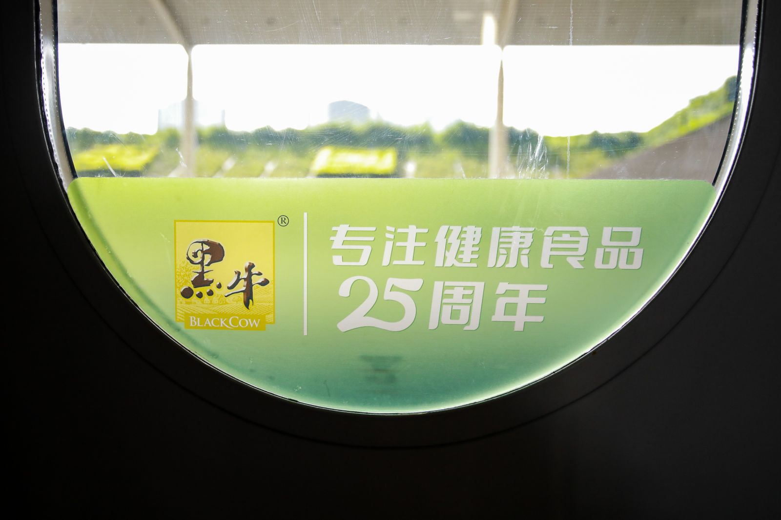 体育平台app下载